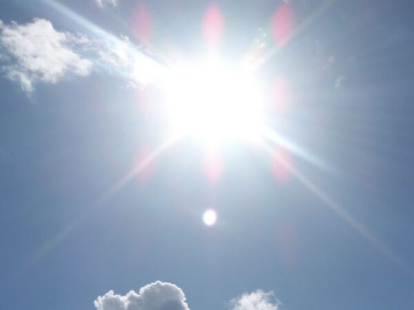 Astaksantin je naravna zaščita proti škodljivim sončnim žarkom