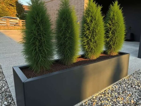 večja cvetlična korita